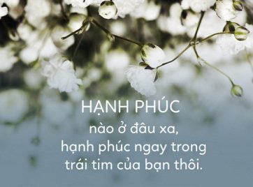 nhung cau chuyen hay phan 4